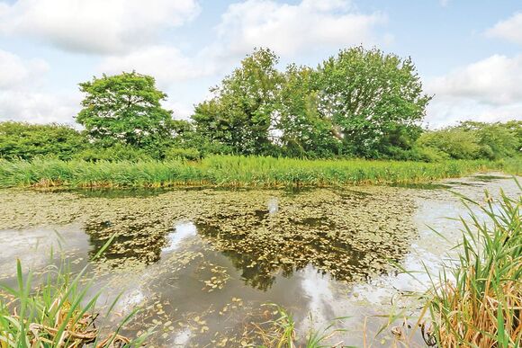 Cherry Tree Lodge - Oakwood Lodges, South Duffield, Nr York