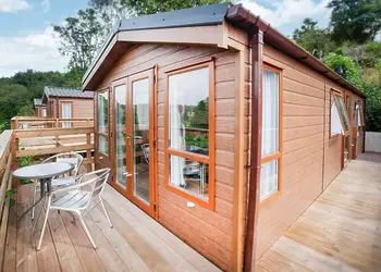 Maple - Wigley Orchard, Tenbury Wells