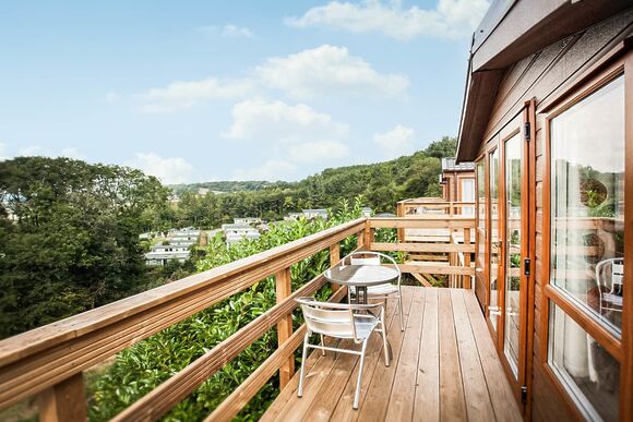 Maple - Wigley Orchard, Tenbury Wells