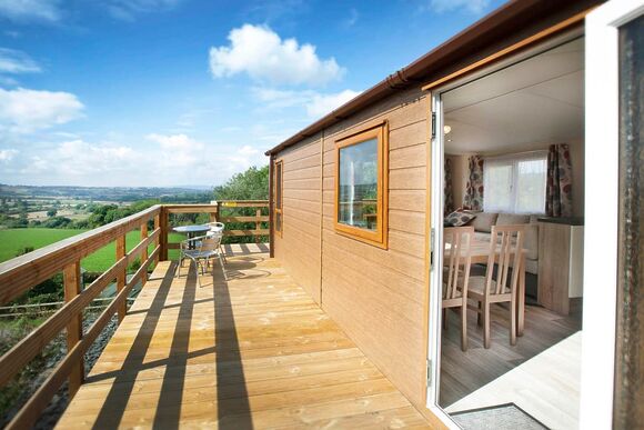 Maple - Wigley Orchard, Tenbury Wells