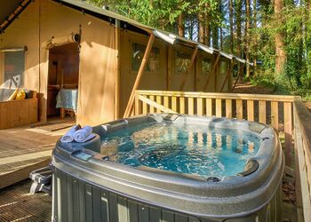 Safari Tent Pet - Cornish Meadows Holiday Park, Hayle