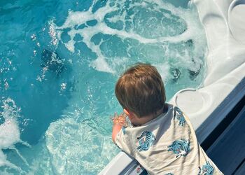 Luxury 2 bed HT (Pet) - Cornish Meadows Holiday Park, Hayle