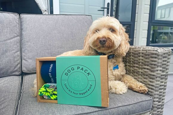 Premium 2 Bed (Pet)  - Padstow Holiday Village, Padstow