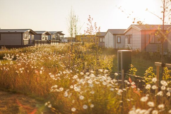 Premium 3 Bed - Padstow Holiday Village, Padstow