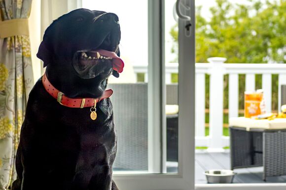 Premium 3 Bed (Pet) - Padstow Holiday Village, Padstow