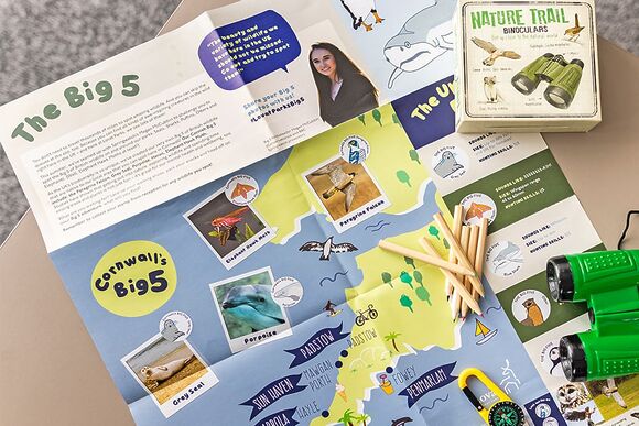 Luxury 3 Bed (Pet) - Padstow Holiday Village, Padstow