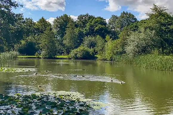 Paradise Lakeside Lodges, Storwood, York