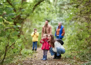 Brynowen, Aberystwyth, Cardiganshire