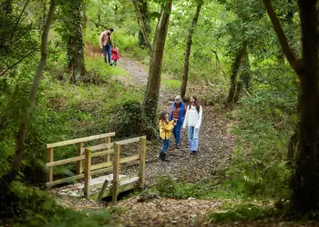Brynowen, Aberystwyth, Cardiganshire