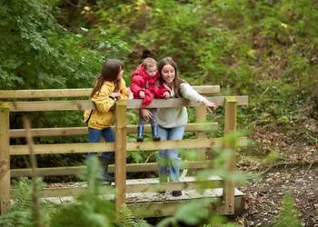 Brynowen, Aberystwyth, Cardiganshire