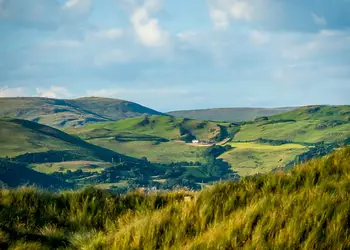 Brynowen, Aberystwyth, Cardiganshire