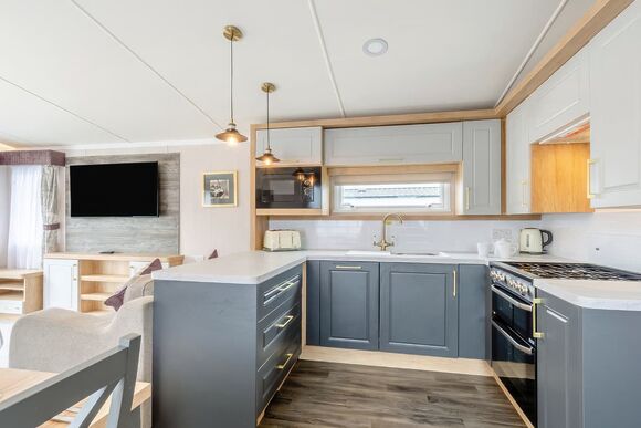 Gold Premium Caravan with decking - Cayton Bay, Cayton Bay, Scarborough