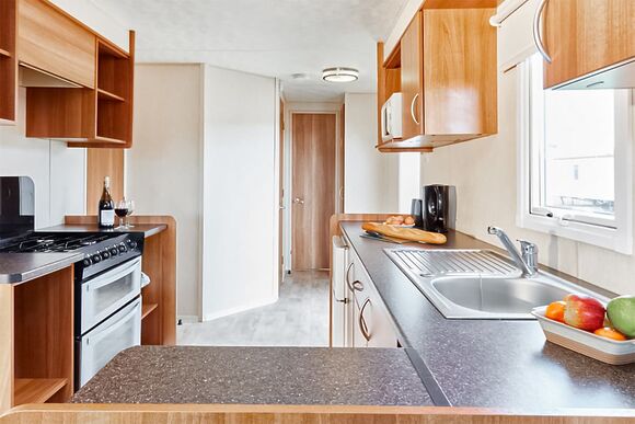 Swan - Coopers Beach, Mersea Island, Colchester