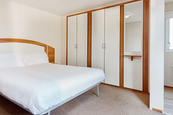 Swan - Coopers Beach, Mersea Island, Colchester