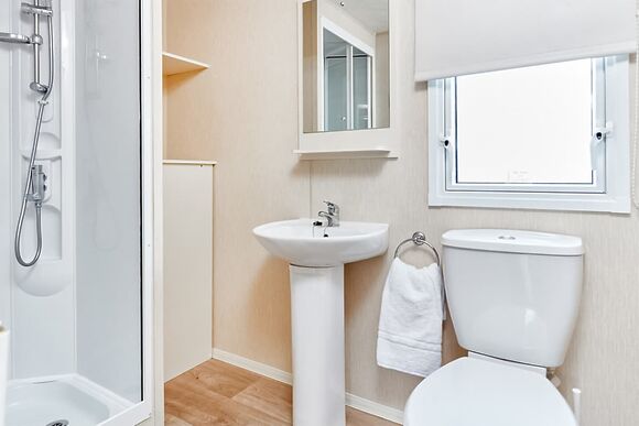 Swan - Coopers Beach, Mersea Island, Colchester