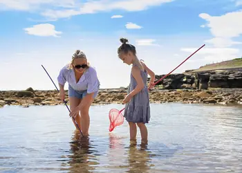 Cresswell Towers, Cresswell, Morpeth