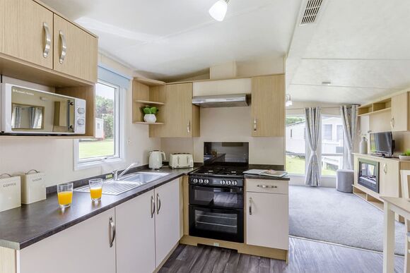Gold Caravan with parking - Crimdon Dene, North Hartlepool