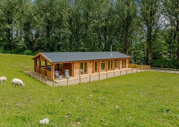 Two Hoots - Peckmoor Farm Lodges, Crewkerne