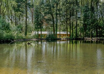 Woodland Hideaway - Peckmoor Farm Lodges, Crewkerne