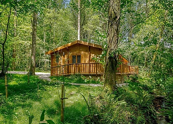 Woodland Retreat 