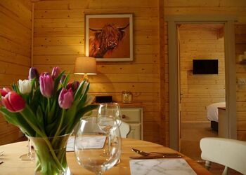 The Old Oak Tree - Peckmoor Farm Lodges, Crewkerne