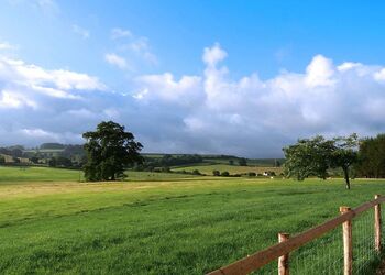 Stable Lodge - Peckmoor Farm Lodges, Crewkerne