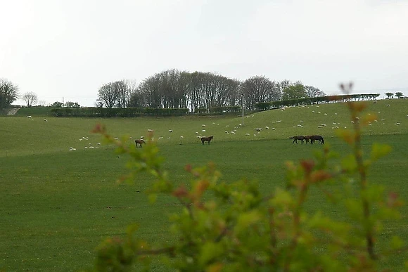 Peckmoor Farm Lodges, Crewkerne