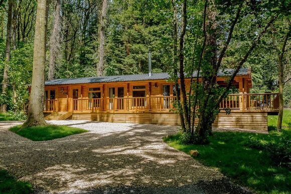 Woodland Hideaway - Peckmoor Farm Lodges, Crewkerne