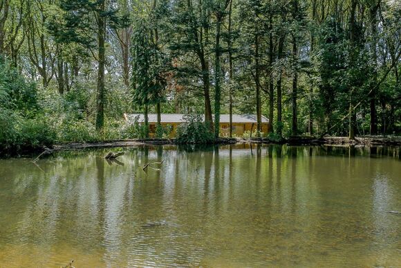 Woodland Hideaway - Peckmoor Farm Lodges, Crewkerne