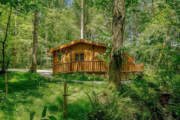 Woodland Retreat - Peckmoor Farm Lodges, Crewkerne