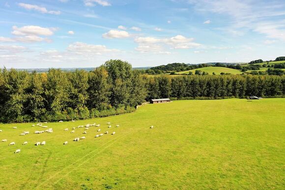 Pilsdon Perch - Peckmoor Farm Lodges, Crewkerne