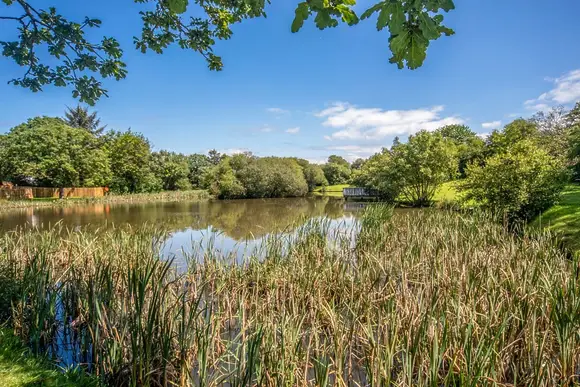 Pencnwc Holiday Park, Nr New Quay, Cardiganshire