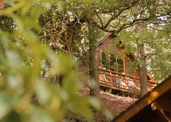 Penllwyn Lodges, Garthmyl, Montgomery