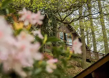 Penllwyn Lodges, Garthmyl, Montgomery