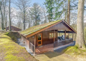 Foxglove - Penllwyn Lodges, Garthmyl, Montgomery