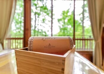 The Mountain Spa - Penllwyn Lodges, Garthmyl, Montgomery