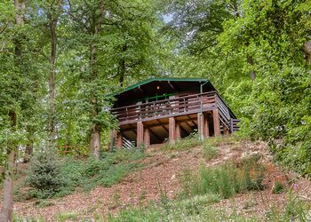 Pines Spa - Penllwyn Lodges, Garthmyl, Montgomery