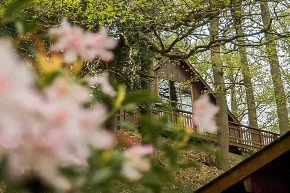 Penllwyn Lodges, Garthmyl, Montgomery