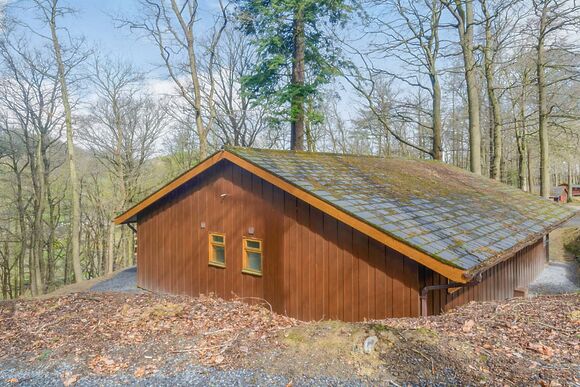 Foxglove - Penllwyn Lodges, Garthmyl, Montgomery