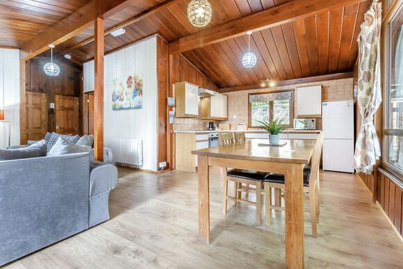 The Sycamores Spa - Penllwyn Lodges, Garthmyl, Montgomery