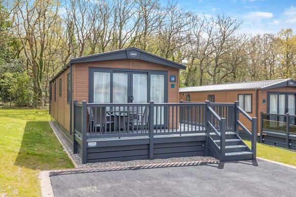 Dinas Pet Friendly - Wayfind Pennant Park, Holywell