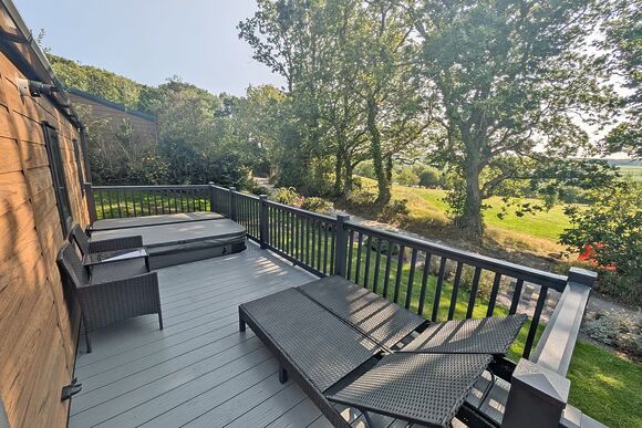 Ogwen Premier (Pet) - Wayfind Pennant Park, Holywell