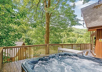 Typical Birches Lodge VIP (Pet)