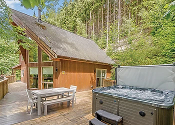 Birches Lodge Log Burner