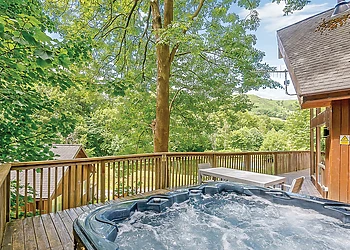 Birches Lodge Log Burner 