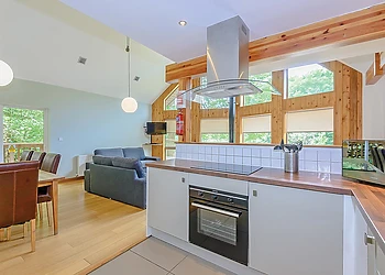 Birches Lodge Log Burner 