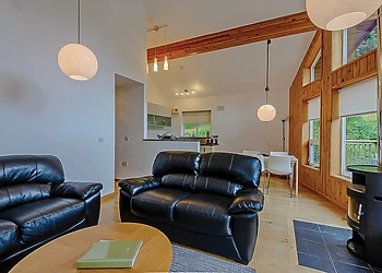 Ontario Lodge Log Burner 