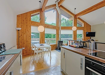 Ontario Lodge Log Burner 