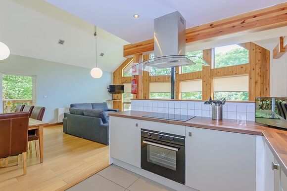 Birches Lodge - Penvale Lakes Lodges, Llangollen