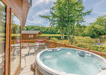 Typical Foxglove 4 Platinum Plus